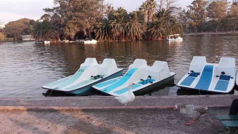 Alquiler de bici botes